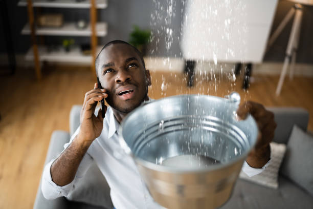 Best 24/7 water damage repair  in Versailles, OH