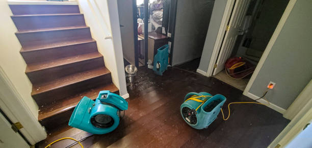 Best Emergency water damage restoration  in Versailles, OH