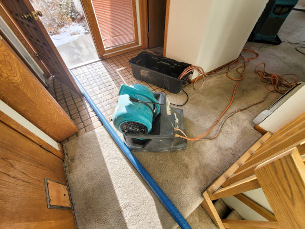 Best Ceiling water damage repair  in Versailles, OH