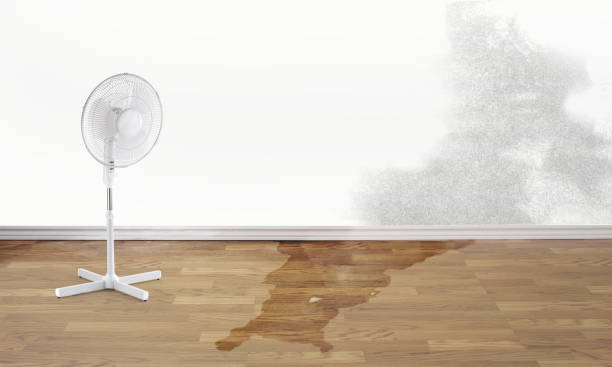 Best Flooded house restoration  in Versailles, OH