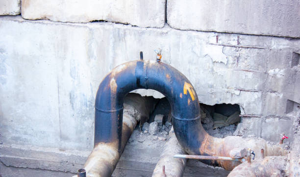 Best Water damage contractors near me  in Versailles, OH